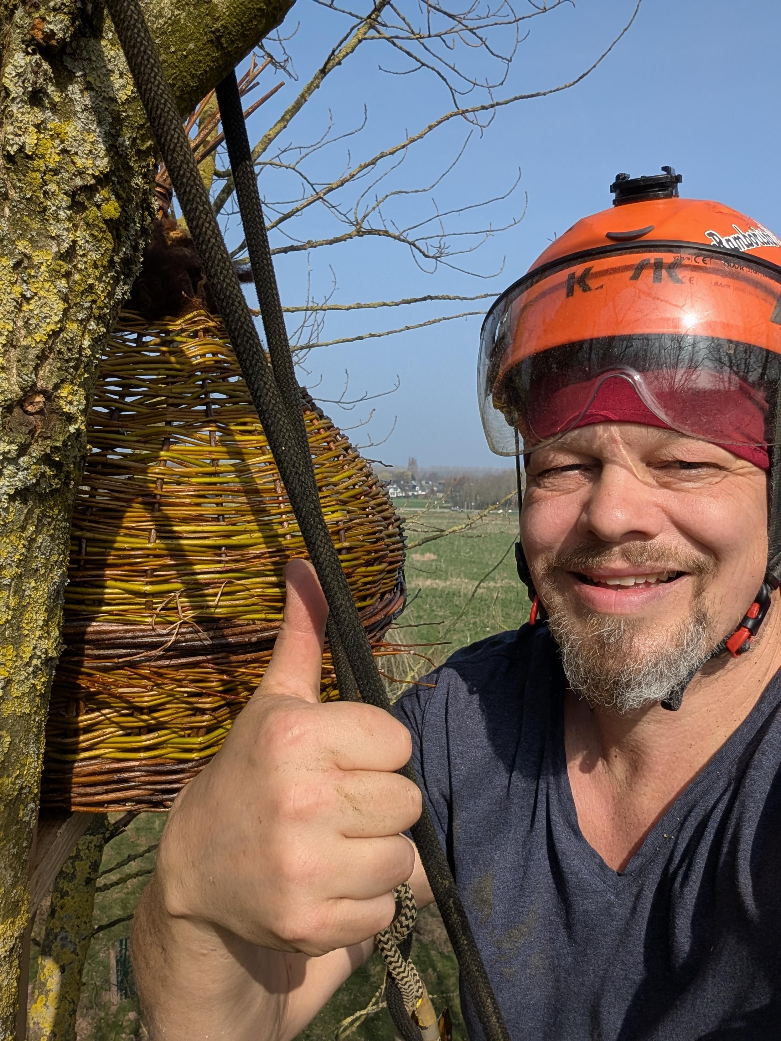 Monkey giving thumbs up next to the basket nest