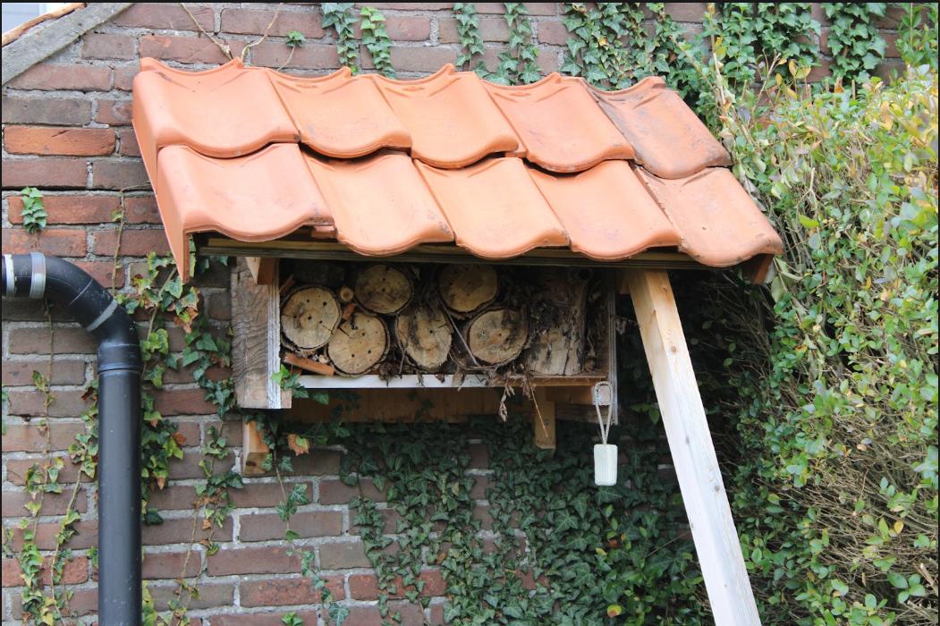 Image 11